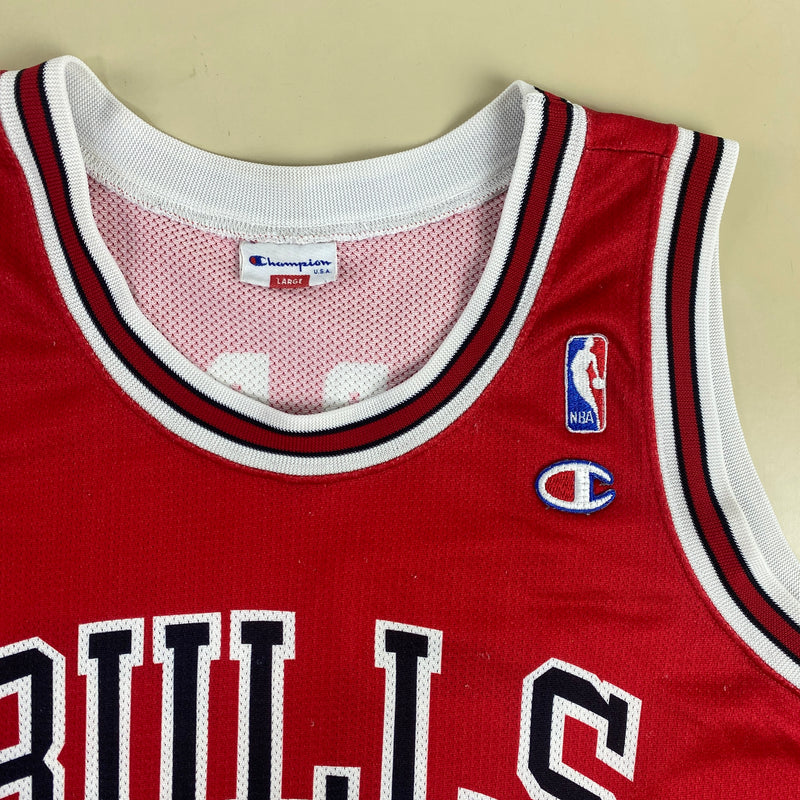 Camiseta Champion NBA Jersey Chicago Bulls Jordan 23 - L