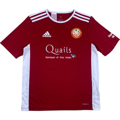 Camiseta Adidas Portadown Ireland - XS